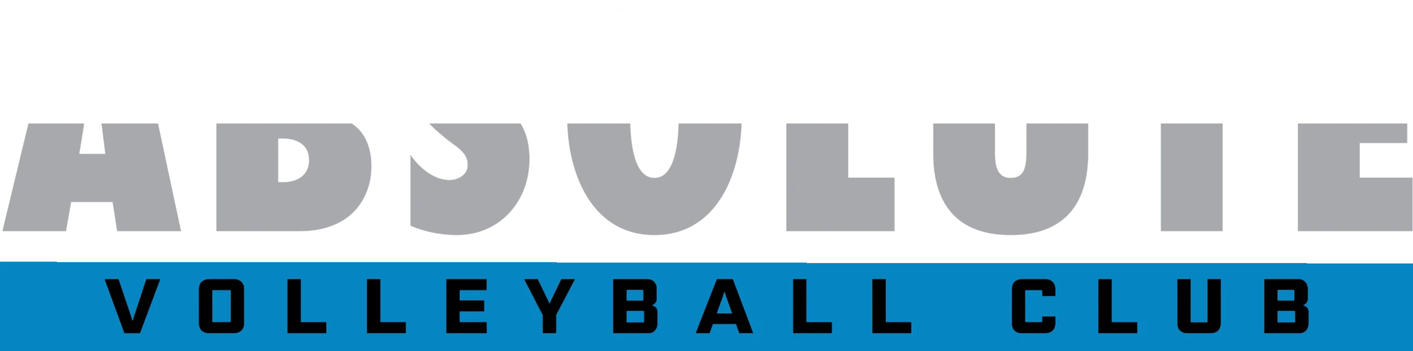 Absolute Volleyball Club