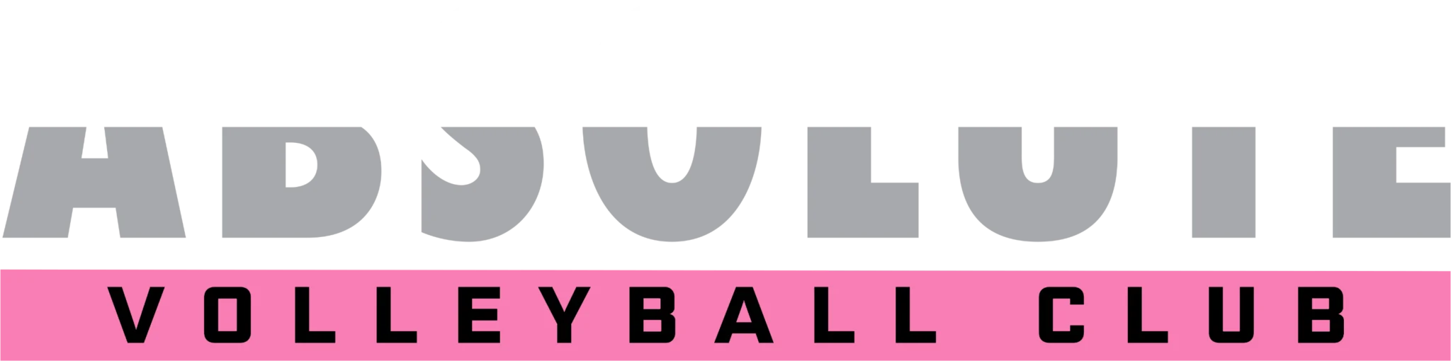 Absolute Volleyball Club