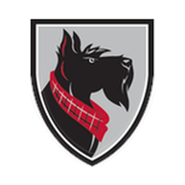Carnegie Mellon University